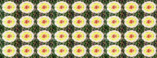 Best for wrapping paper. Raster sketch pattern with green and yellow tulip flowers. Spring tender design for natural cosmetics, perfume, florist shop. Can be used as greeting or wedding background.
