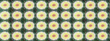 Raster illüstrasyonu. El çizimi. Çiçekli, yapraklı, çiçek desenli çizim..