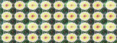 Sabıka fotoğraflarında, bebek kıyafetlerinde, duvar kâğıtlarında, paket kutularında falan kullanılabilir. Zarif, parlak ve pürüzsüz yeşil ve nötr çiçek desenli tasarım. Raster..