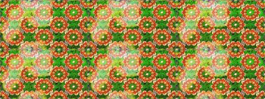 Raster deseni. Suluboya etkisi. Organik elementler. Botanik çizim deseni.