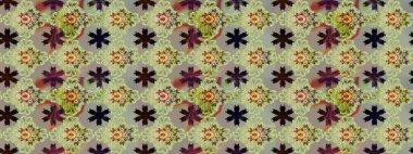 Suluboya efekti. Raster desen. Botanik seamless modeli. Organik öğeleri.