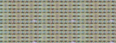 Doğum günü kartı ya da düğün davetiyesi. Tarafsız ve gri renklerde. Çiçek arkaplan. Raster illüstrasyonu. Suluboya çiçek buketi. Çiçekli tebrik kartı.