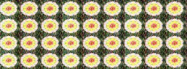 Yeşil ve sarı renklerde. Taslak dekoratif arka plan, çiçek mandala. Raster illüstrasyonu. Çiçek..