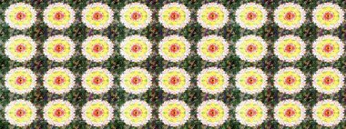 Güzel kumaş deseni. Bahar çiçekli, dikişsiz, sevimli çiçek deseni. Raster illüstrasyonu.