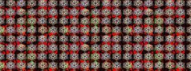 Büyük bir çiçek boyası seti. Raster şirin suluboya çiçek desenleri çiziyor. Kartlar, davetiyeler, tarih kartları ve daha fazlası için kullanılabilir.