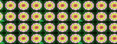 Etnik Mandala süsü. Raster Henna dövme stili. Tekstil, tebrik kartı, boyama kitabı, telefon kılıfı baskısı için kullanılabilir. Hint çiçekli desenli şal desenli..