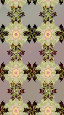 Tekrar eden çiçek arkaplanı, zarif gri ve nötr çiçek duvar kağıdı. Gri ve nötr renkler üzerine çiçek desenli çizimler, el yapımı papatyalar, papatyalar..