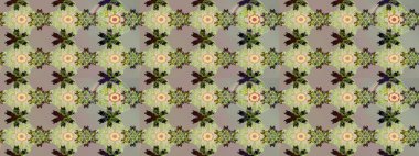 Raster illustration. Gentle, spring floral on gray and neutral colors. Exploding flowers abstractly placed. Raster pattern.