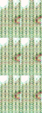 Amazing collage paradise style for floral design. Bright floral collage blossom flowers neutral and beige. Blossom lilies sketch background.