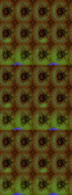 Organik motif arka planı. Çizim kalıbı. Raster illüstrasyonu. Ultraviyole kumaş deseni.