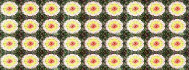 Çiçekler, yapraklar, dekoratif elementler, sıçramalar, lekeler, el çizimleri çizimleri ve Doodle çizimleri, grafik raster çizimleri.