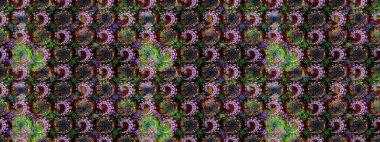 Doğa. Çiçek kompozisyonu. - Siyah ve kahverengi çiçekler. Raster deseni. Çiçek kolajı. Çiçek arkaplan. Küçük çiçekte güzel desen var..