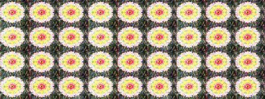 Parlak çiçekli kolaj çiçekleri tarafsız ve sarı. Çiçek tasarımı için inanılmaz bir kolaj cenneti tarzı. Çiçekli zambaklar dikişsiz arkaplan.