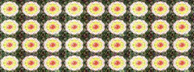 Çiçekler, yapraklar, dekoratif elementler, sıçramalar, lekeler, el çizimleri çizimleri ve Doodle çizimleri, grafik raster çizimleri.