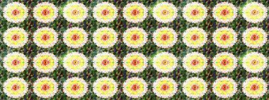 Tribal art boho print, vintage flower background. Abstract ethnic raster seamless pattern. Background texture, wallpaper, floral theme in green and yellow colors.