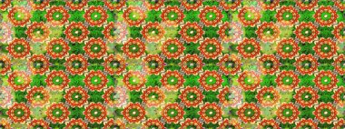 Floral composition, hand painted, delicate template. Top view, soft style. Stylish invitation for valentines day and greeting card concept. Scenic flower pattern on green and orange colors.