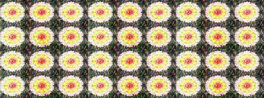 Süs bahar bahçe doku gelişir. Çiçek sorunsuz arka plan. Raster resim. Çiçek desenli.