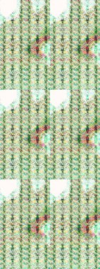 Küçük çiçekte güzel bir çiçek deseni var. Raster deseni. Çiçekli çiçek deseni, suluboya..