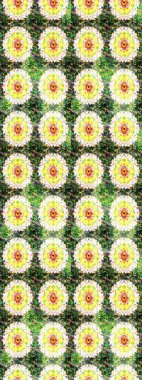 Çiçekli karalama şeklinde Raster çiçek deseni. Yeşil ve sarı renkli çiçekler. Yumuşak, yaz çiçekli arka plan.