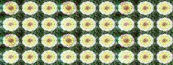 Renkli Bahar Teması eskiz kalıbı. Çiçeksel fantezi tasarımı ve parlak bir arka plan çizimi. Düz Çiçek Elementleri Tasarımı.