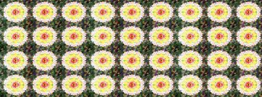 Güzel kumaş deseni. Bahar çiçekli, dikişsiz, sevimli çiçek deseni. Raster illüstrasyonu.