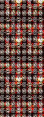 Etnik Mandala havlusu. Tebrik kartı geçmişi, boyama kitabı, arkaplan ve tekstil için kullanılabilir. Raster Henna tarzı. Sınır Kızılderili çiçekli paisley patten. Taslak süsleme izi.