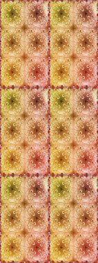 Renkli grunge, soyut arka planda kolonya ve kahverengi çiçeklerle zenginleşir. Parmak izi, kumaş, duvar kâğıdı, tekstil için raster dokusu. İşlemeli çiçek desenli..