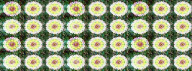 Renkli Bahar Teması eskiz kalıbı. Çiçeksel fantezi tasarımı ve parlak bir arka plan çizimi. Düz Çiçek Elementleri Tasarımı.