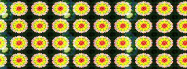 Kusursuz. Küçük çiçekteki sevimli çiçek deseni. Raster illüstrasyonu.