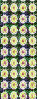 Raster illüstrasyonu. Renkli Bahar Teması eskiz kalıbı. Çiçek deseni. Chichi 'nin kumaş kalıbını çiz. Düz Çiçek Elementleri Tasarımı.