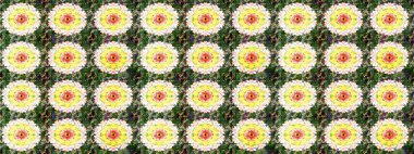 Kusursuz. Küçük çiçekteki sevimli çiçek deseni. Raster illüstrasyonu.