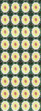 El çizimi. Çiçekli, yapraklı, çiçek desenli eskiz. Raster illüstrasyonu.