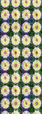 Raster çiçek desenli çiçek deseni, yapraklar, dekoratif elementler, sıçrama, lekeler, el çizimi kontur çizgileri ve Doodle çizim stili, grafik raster çizim çizimi.