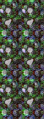 Kumaş, tekstil, duvar kağıdı baskısı için. Eskiz geçmişi. Raster illüstrasyonu. Miles Fleur, süslü püslü bir süs. Eski usul. Tomurcukları papatya çiçekleri olan sevimli bir çiçek deseni..