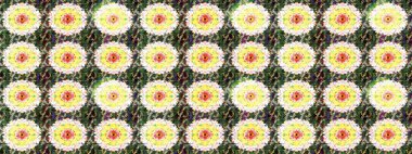 Düz Çiçek Elementleri Tasarımı. Renkli Bahar Temalı Kusursuz Arkaplan. Tarafsız ve yeşil renklerde çiçekler. Çiçeksiz desenli arka plan, yaz çiçekleri..