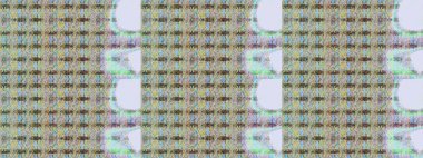 Tarafsız ve gri renklerde çiçekler. Raster illüstrasyonu. Asya tekstil tarzında. Raster illüstrasyonu. Kusursuz çiçek deseni.