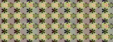 Raster illustration. Gentle, spring floral on gray and neutral colors. Exploding flowers abstractly placed. Raster pattern.