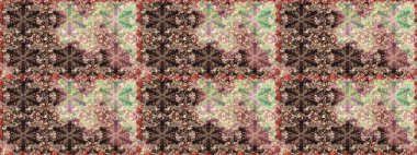 Çiçek arkaplan. Doğa. Çiçek kolajı. Çiçek kompozisyonu. Raster deseni. Küçük çiçekte güzel bir desen var. - Kahverengi ve bej çiçekler.