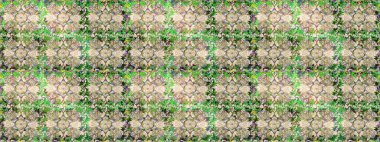 Çiçekler bej ve nötr renklerde. Yumuşak, bahar çiçekli arka plan. Raster çiçek desenli ve çiçekli..