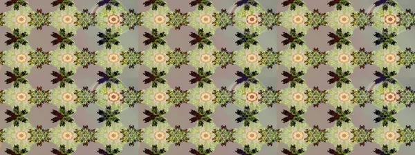 Raster illustration. Gentle, spring floral on gray and neutral colors. Exploding flowers abstractly placed. Raster pattern.