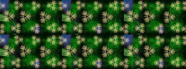 Nazik, sevimli çiçek arkaplanı. Yeşil ve mavi renkte çiçekler. Raster çiçek desenli ve çiçekli..