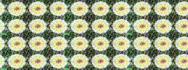 Raster illüstrasyonu. Düz Çiçek Elementleri Tasarımı. Renkli Bahar Teması eskiz kalıbı. Tarafsız ve yeşil renklerde zarif çiçekli suluboya.