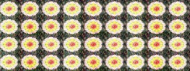 Süs bahar bahçe doku gelişir. Çiçek sorunsuz arka plan. Raster resim. Çiçek desenli.