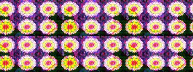Raster illüstrasyonu. Sarı ve menekşe renklerinde bahar çiçekleri. Çiçek ve yapraklı karalama şeklinde Raster çiçek deseni.