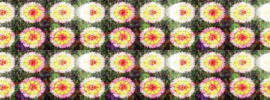 Watercolor illustration. Hand drawn. Flowers on neutral and yellow colors. Seamless pattern with flowers.
