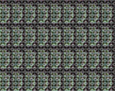 Çiçekli karalama şeklinde Raster çiçek deseni. Siyah ve nötr renklerde çiçekler. Nazik, sevimli çiçek arkaplanı..