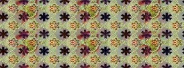 Suluboya efekti. Raster desen. Botanik seamless modeli. Organik öğeleri.