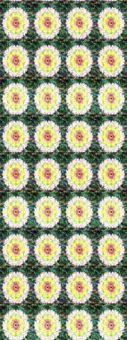 Yeşil ve nötr kıvırcık çiçekler yeşil ve nötr renklerde şekillenir. Raster illüstrasyonu. Klasik çiçek tasarım elementleri.