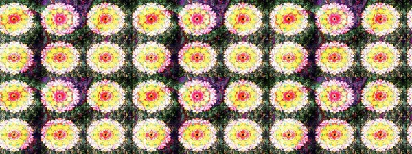 Renkli Bahar Temalı Kusursuz Arkaplan. Sarı ve nötr renklerde çiçekler. Raster illüstrasyonunda kusursuz çiçek deseni. Düz Çiçek Elementleri Tasarımı.