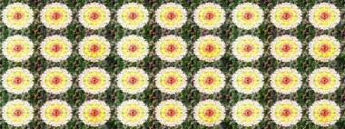 Kusursuz. Küçük çiçekteki sevimli çiçek deseni. Raster illüstrasyonu.